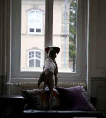 Квиз Расчет стоимости пластиковых окон 